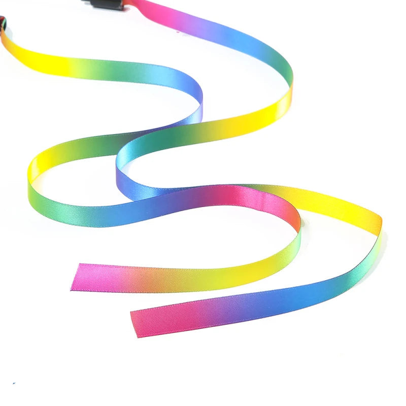2PCS Cat Rainbow teaser toy